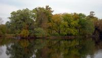 Washington Park, Chicago, IL