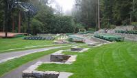 Sigmund Stern Grove, San Francisco, CA