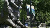 Photo by Mehgan Murphy::2011::The Cultural Landscape Foundation