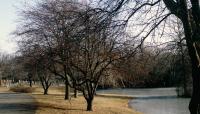 Forest Hills Cemetery, Jamaica Plain, MA 