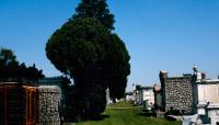 St. Louis Cemetery, New Orleans, LA