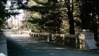 Forest Hills Cemetery, Jamaica Plain, MA