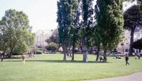 Washington Square, San Francisco, CA