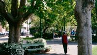 Washington Square, San Francisco, CA