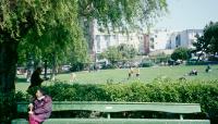 Washington Square, San Francisco, CA