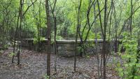 Sanctuary Woods, Asylum Patio