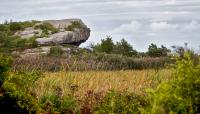 Norman Bird Sanctuary, Middletown, RI