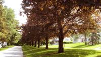 Penobscot Terrace, Orono, ME