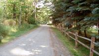 Sea Point Cottage Lots, Brunswick, ME