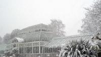 Volunteer Park Conservatory, Seattle, WA