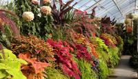 Volunteer Park Conservatory, Seattle, WA