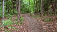 Manson Park, Pittsfield, ME