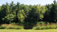 Manson Park, Pittsfield, ME