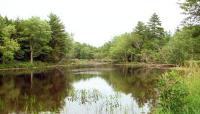 Manson Park, Pittsfield, ME