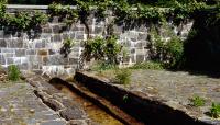 Esther Wright's Walled Garden, Cape Elizabeth, ME