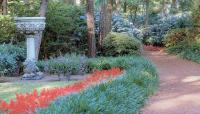 Elizabethan Gardens, Manteo, NC