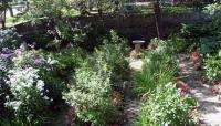 Sunken Garden, Wiscasset, ME
