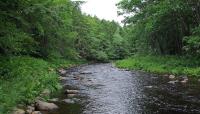 Tanglewood, Lincolnville, ME