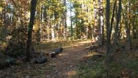 Woodward-Houston Memorial, Falmouth, ME