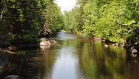 Tanglewood, Lincolnville, ME