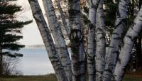 Gignoux Estate, Cumberland Foreside, ME