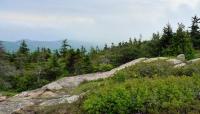 Acadia National Park, Mount Desert, ME