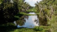 Jean Lafitte National Historic Park and Preserve, New Orleans, LA