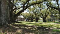 Oak Alley Plantation, Vacherie, LA