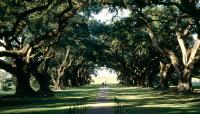 Oak Alley Plantation, Vacherie, LA