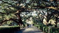 Oak Alley Plantation, Vacherie, LA