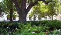 Lafayette Square, New Orleans, LA