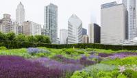 Lurie Garden, Chicago, IL