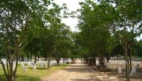 National Cemetery, Baton Rouge, LA