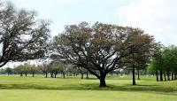 Pontchartrain Park, New Orleans, LA