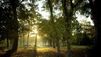 Memorial Park, Houston, TX