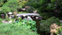 Hannah Carter Japanese Garden, Los Angeles, CA 