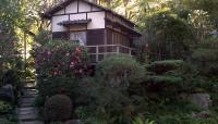 Hannah Carter Japanese Garden, Los Angeles, CA