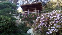 Hannah Carter Japanese Garden, Los Angeles, CA 