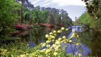 Airlie Gardens, Wilmington, NC