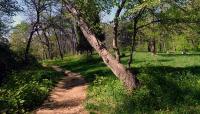 Dumbarton Oaks Park, Washington, DC