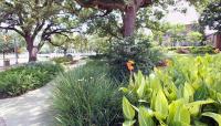 Photo By Devon Boutte::2012::The Cultural Landscape Foundation