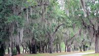 Mountain Lake, Lake Wales, FL