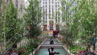 Rockefeller Center Plaza, New York, NY