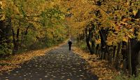 Fresh Meadows Park, New York, NY