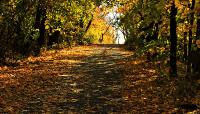 Fresh Meadows Park, New York, NY