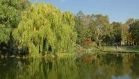 Morningside Park, New York, NY