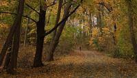 Alley Pond Park, Queens, NY