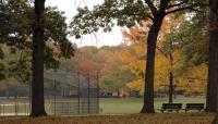 Alley Pond Park, Queens, NY