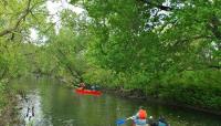 Bronx Park, New York, NY