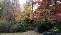 University of Georgia Founders Memorial Garden, Athens, GA